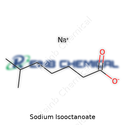 Sodium Isooctanoate